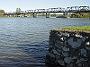 fotheringham-park-taree 007